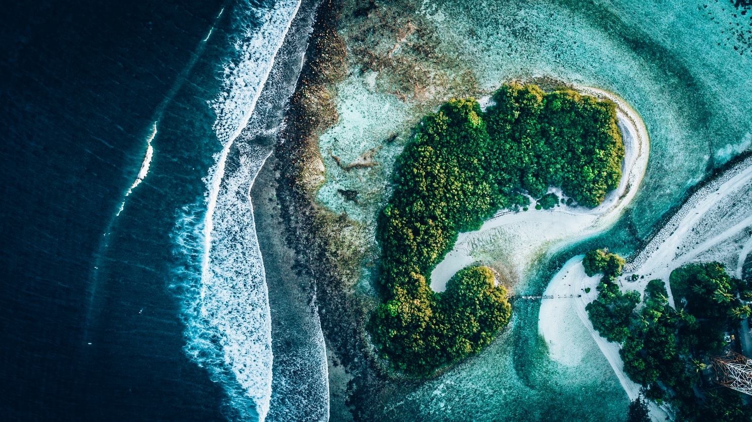 The Art of Converting Images to Videos: Tips and Tricks for Stunning Results