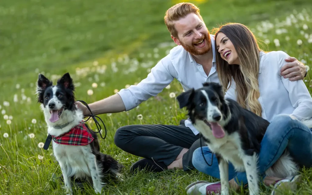 How to Improve Your Relationship with Your Pet: Tips for a Stronger Bond