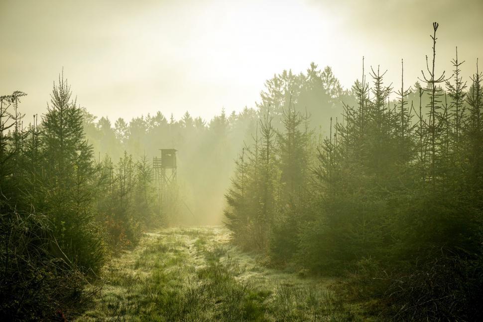 The Disadvantages of a Humid Environment: Tips for Improvement