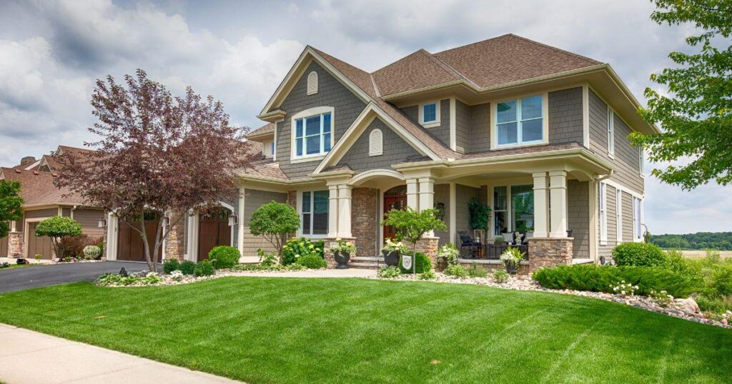 Pest Control for a Healthy Home: Essential Tips to Protect Your Living Space