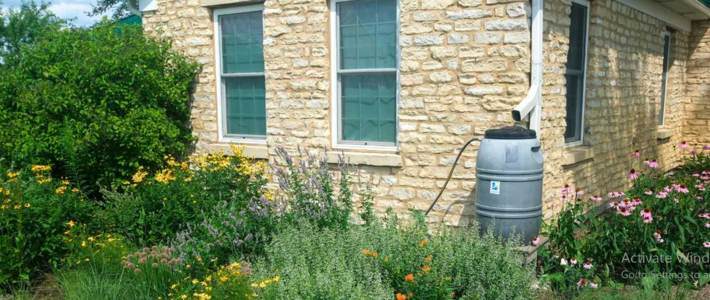 Why Sustainable Gardening Starts With How You Use Water 