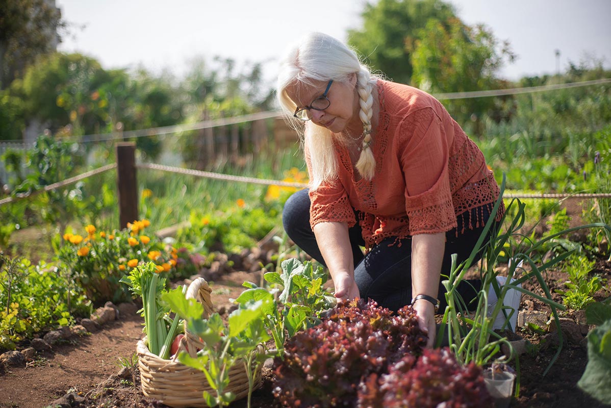 How to Grow a Month’s Worth of Vegetables in a Small Space 