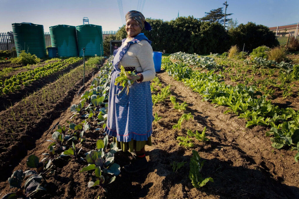 The New Status Symbol? Knowing Exactly Where Your Food Comes From 